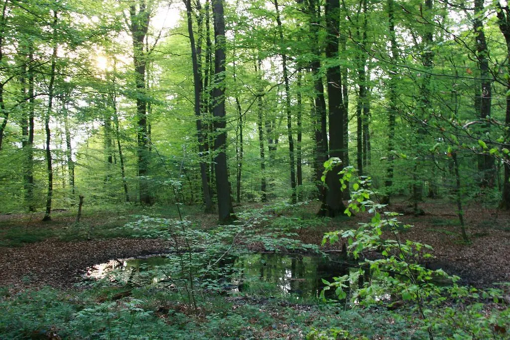 Camping La Pinede Hotel Consdorf